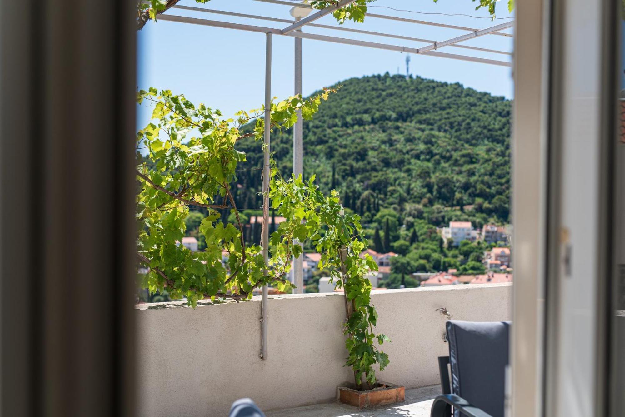 Guesthouse Niko Ντουμπρόβνικ Εξωτερικό φωτογραφία